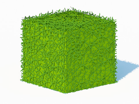 Taxus Media-Square 3D मॉडल