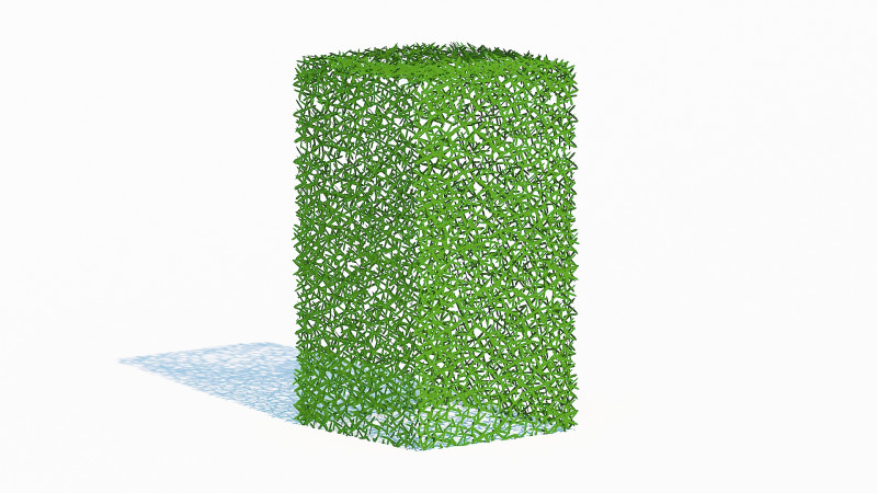 Taxus Media-Upright 3Dモデル .c4d .max .obj .3ds .fbx .stl .blend