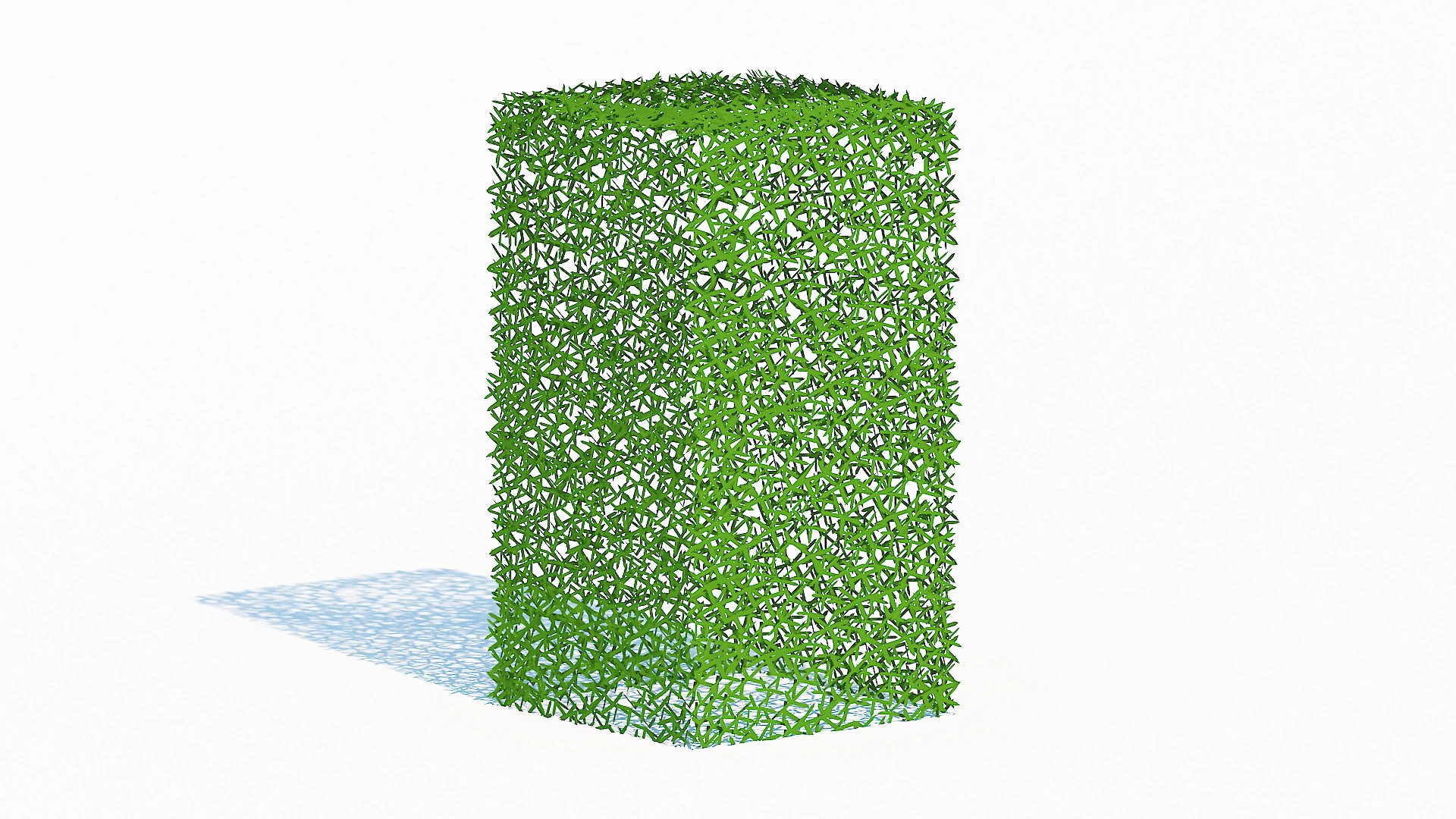 Taxus Media-Upright 3D Model .c4d .max .obj .3ds .fbx .stl .blend