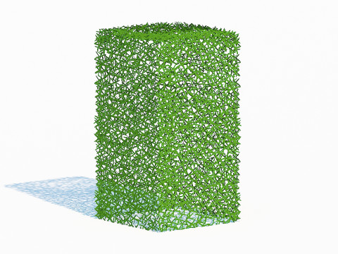 Taxus Media-Upright Modelo 3D