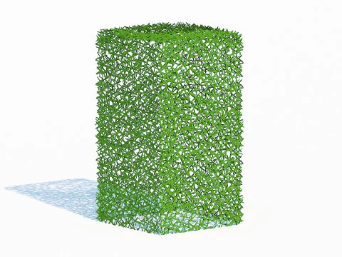 Taxus Media-Upright Modelo 3D