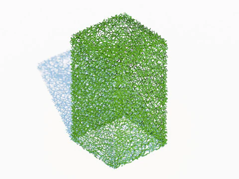 Taxus Media-Upright 3D Model