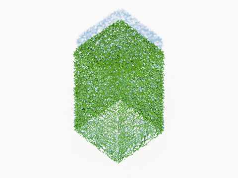 Taxus Media-Upright 3D Model