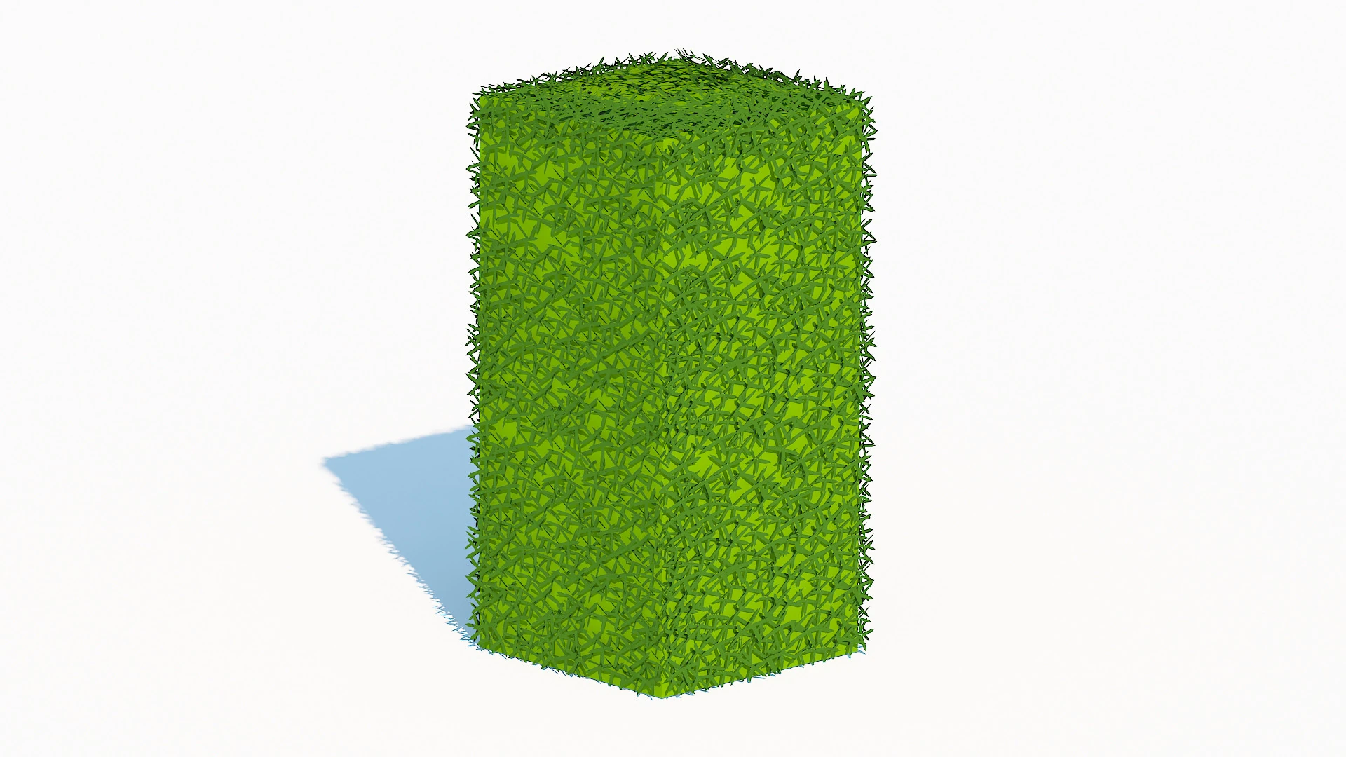 Taxus Media-Upright 3D Model .c4d .max .obj .3ds .fbx .stl .blend 