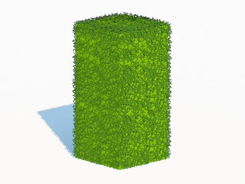 Taxus Media-Pionowy Model 3D