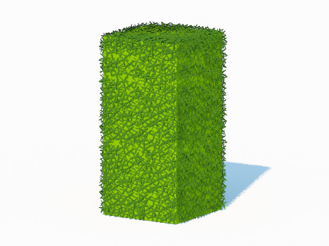 Taxus Media-Upright 3D Model