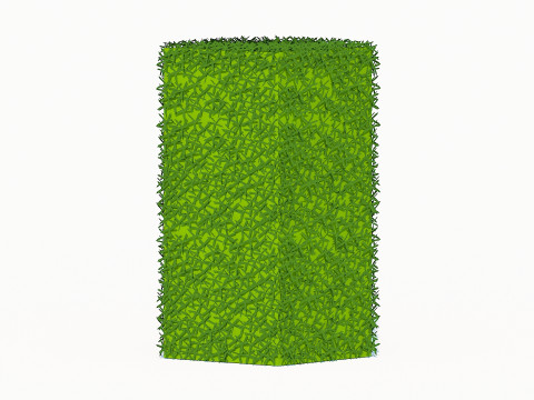 Taxus Media-Upright 3D Model