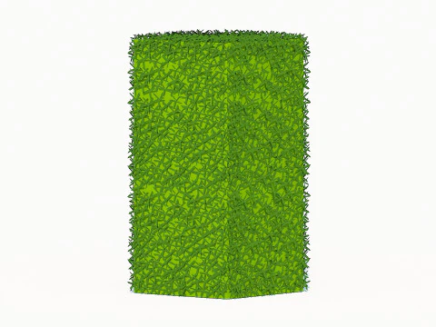Taxus Media-Upright 3D Model