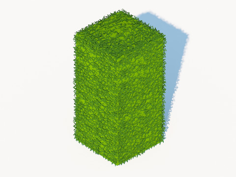 Taxus Media-Upright 3D Model