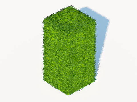Taxus Media-Upright 3D Model
