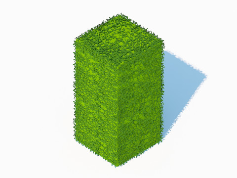 Taxus Media-Upright 3D Model