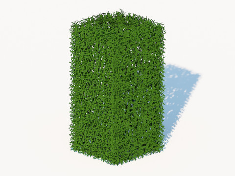 Taxus Media-Upright 3Dモデル