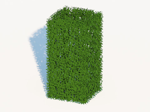 Taxus Media-Upright 3Dモデル