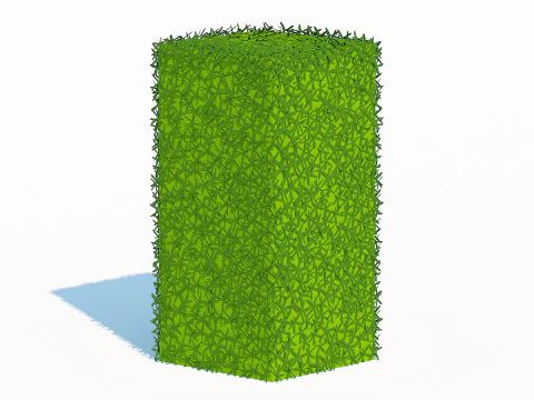 Taxus Media-Pionowy Model 3D