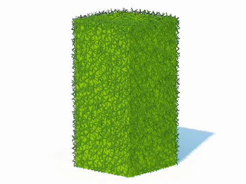 Taxus Media-Upright 3D Model