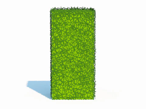 Taxus Media-Upright 3D Model