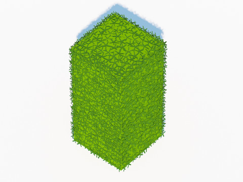 Taxus Media-Upright Modelo 3D