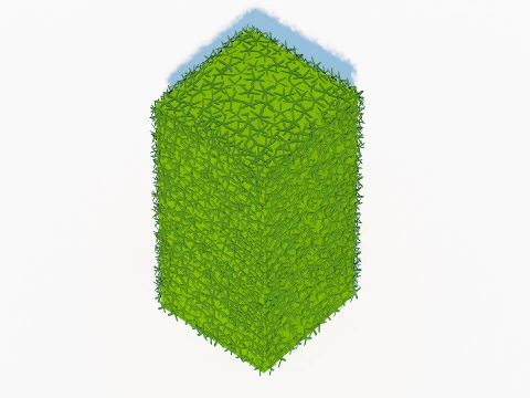 Taxus Media-Upright 3D Model