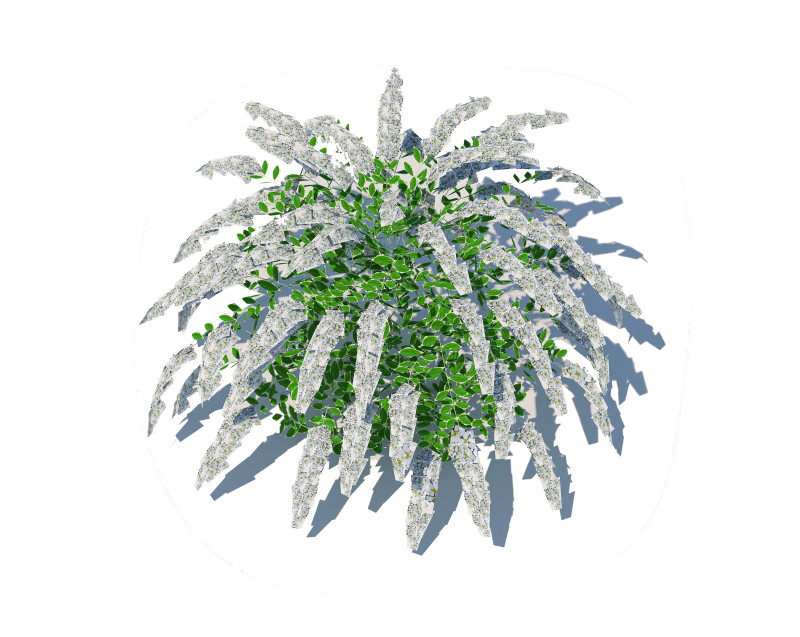 Spirea Modelo 3D .c4d .max .obj .3ds .fbx .stl .blend