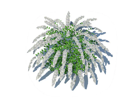 स्पिरिया 3D मॉडल