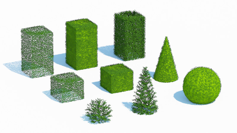 Taxus Media Multiple Size and Shape Model 3D .c4d .max .obj .3ds .fbx .stl .blend 