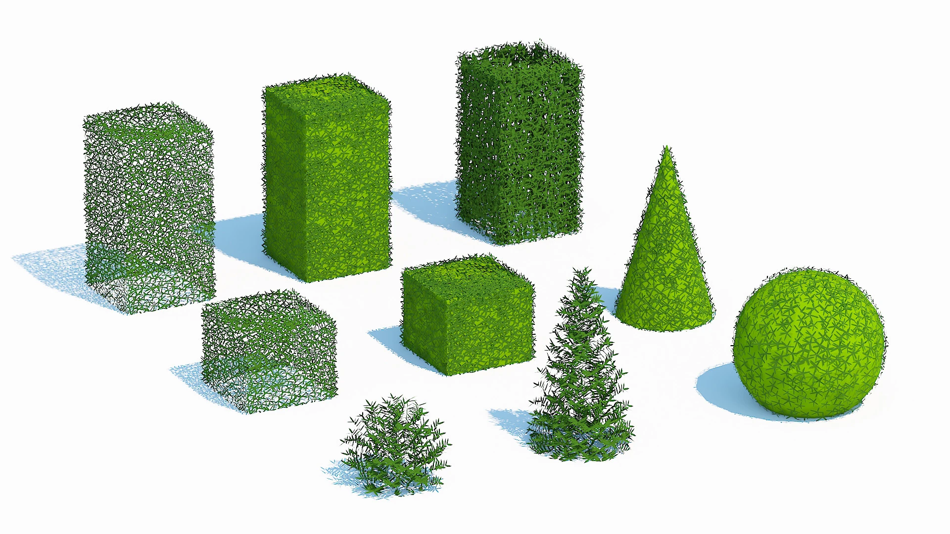 Taxus Media Multiple Size and Shape 3D Model .c4d .max .obj .3ds .fbx .stl .blend 