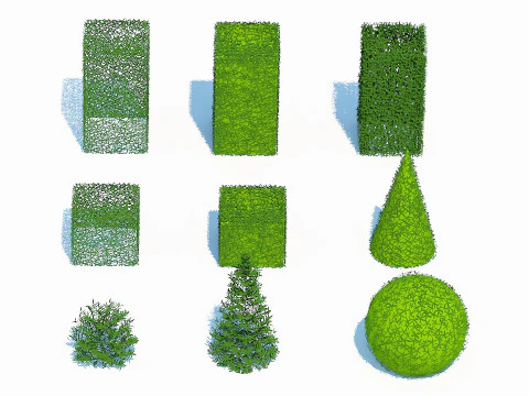 Taxus Media Multiple Size and Shape 3D Model