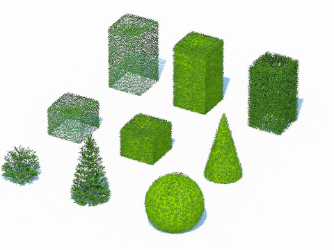 Taxus Media Multiple Size and Shape Model 3D