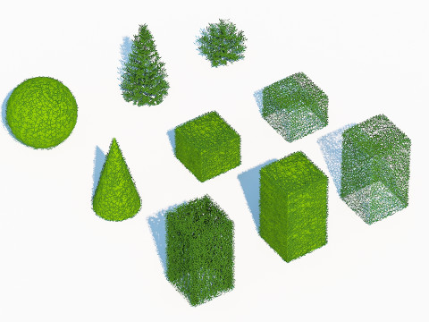 Taxus Media Multiple Size and Shape Model 3D