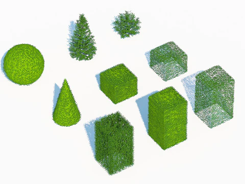 Taxus Media Multiple Size and Shape 3D Model