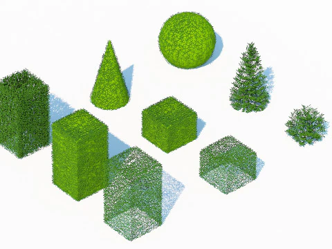 Taxus Media Multiple Size and Shape 3D Model