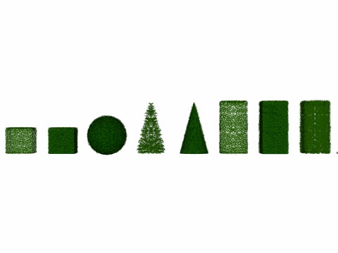 Taxus Media Multiple Size and Shape Model 3D