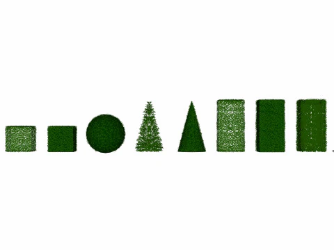 Taxus Media Multiple Size and Shape 3D Model