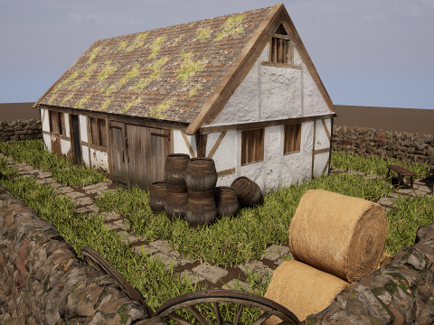 Village House with Garden 3D Model