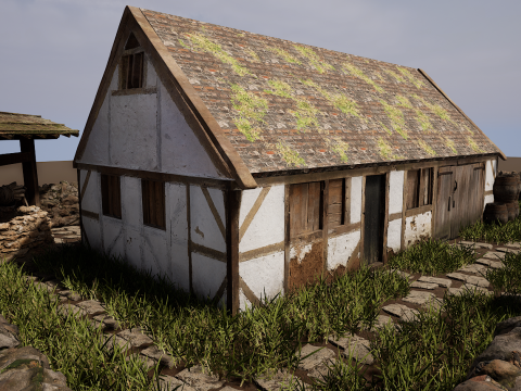 Village House with Garden 3D Model