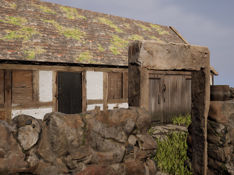 Village House with Garden 3D Model