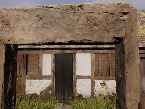 Village House with Garden 3D Model