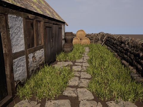 Village House with Garden 3D Model