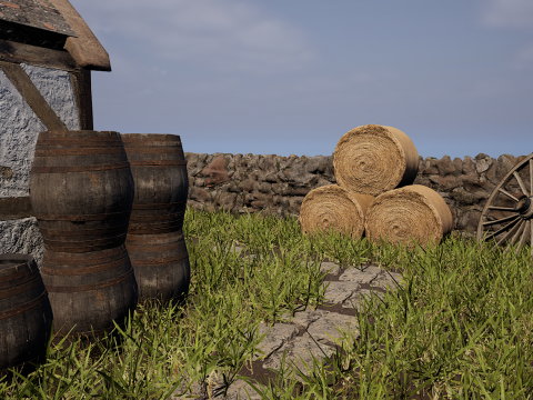 Village House with Garden 3D Model
