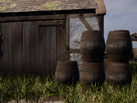 Village House with Garden 3D Model