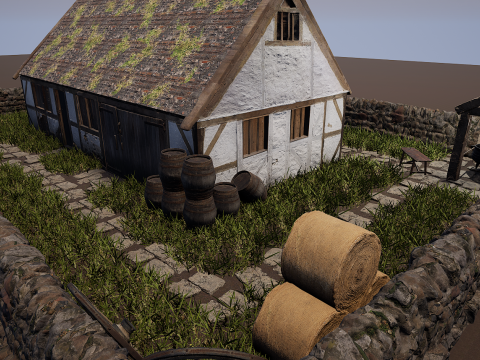 Village House with Garden 3D Model