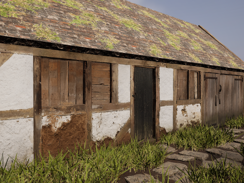 Village House with Garden 3D Model