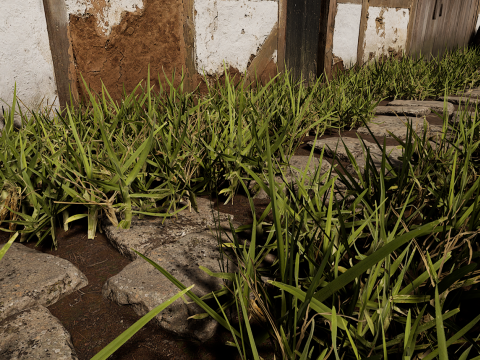 Village House with Garden 3D Model