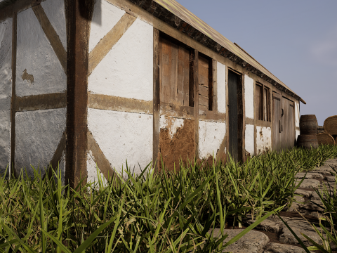 Village House with Garden 3D Model