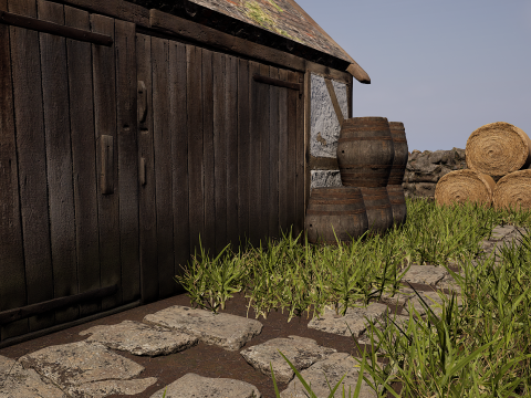 Village House with Garden 3D Model