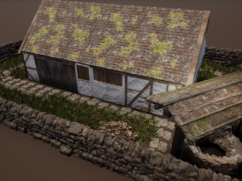 Village House with Garden 3D Model