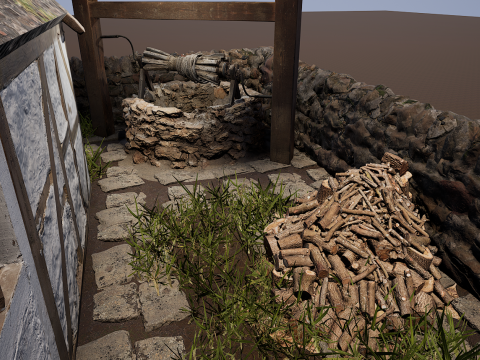 Village House with Garden 3D Model