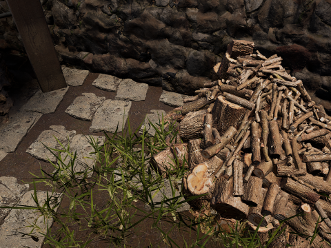 Village House with Garden 3D Model