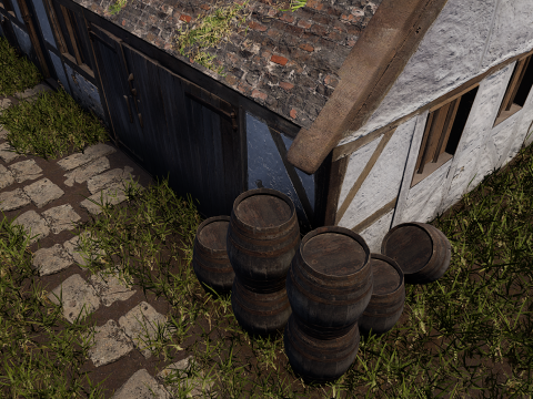Village House with Garden 3D Model