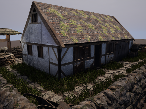 Village House with Garden 3D Model